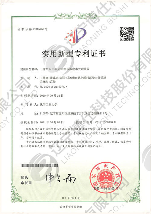 202022116974.X-實用(yòng)新(xīn)型專利證書-一種2 ,6-二氯對硝基苯胺廢水處理(lǐ)裝(zhuāng)置