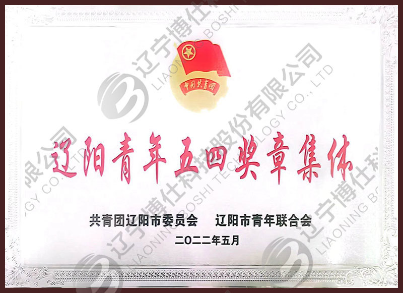 Liaoyang Youth May Fourth Medal Collective